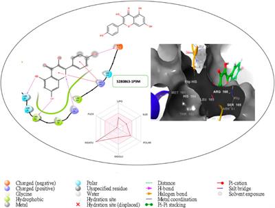 In silico identification of compounds from Piper sarmentosum Roxb leaf fractionated extract inhibit interleukin-6 to prevent rheumatoid arthritis